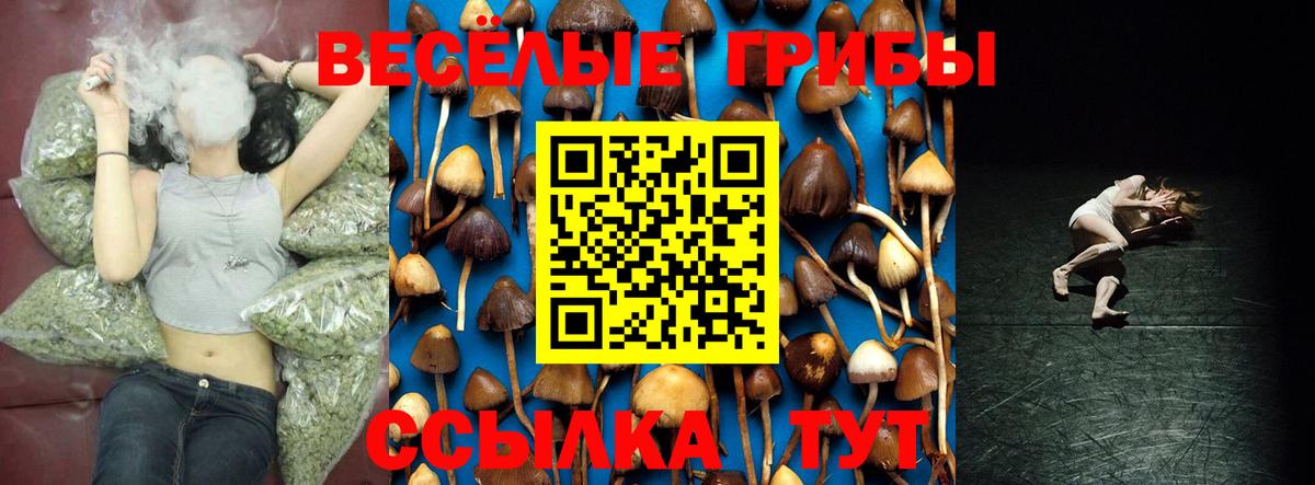 Радужный  Галлюциногенные грибы Psilocybe  Вход с VPN 
